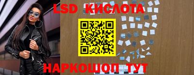 прущие грибы Краснокаменск