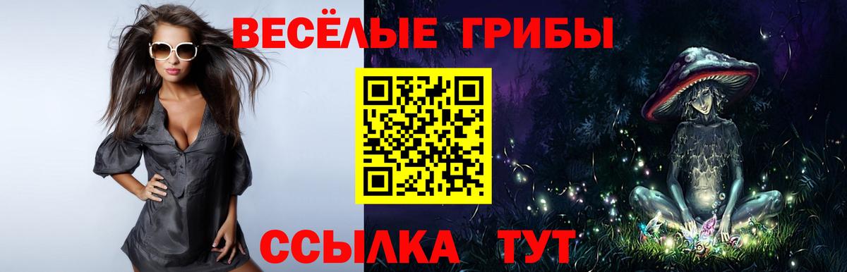 Галлюциногенные грибы Cubensis  хочу   Казань  Псилоцибиновые грибы Cubensis  Вход с VPN 