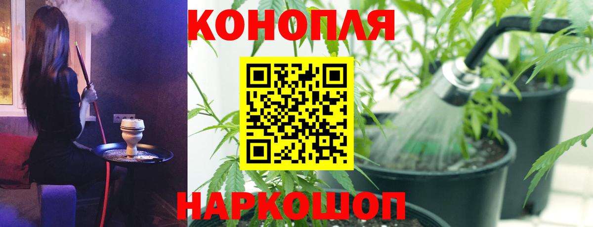 Бошки Шишки сатива  МАРИХУАНА семена  Вход с VPN  Марихуана планчик  Бошки Шишки White Widow  Казань 